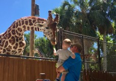 Get Closer at the Naples Zoo