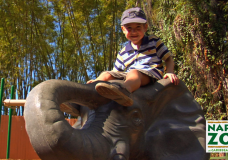 Connecting Children with Nature at the Naples Zoo