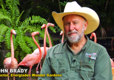 Help John Brady Save Everglades Wonder Gardens