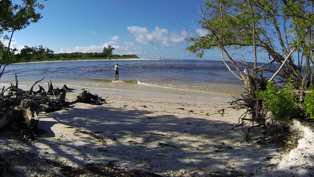 fishing wiggins pass barefoot beach naples